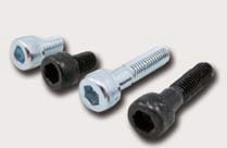 Screw M6 x 10 WB-0610 - 1