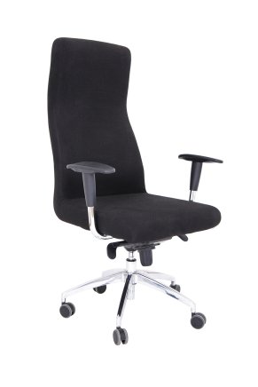 Medical chair REX Plus - 1