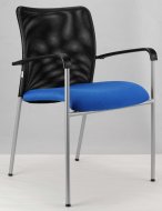 Trinity visiting chair
