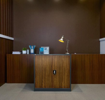 Sheet metal shelf cabinet with inserted door C01B - 4