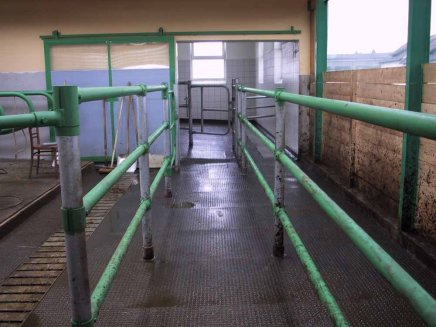 Floor mat large type 121 ball smooth - 4