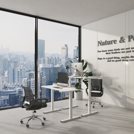 Height-adjustable office desk  FQ2_WW - 3